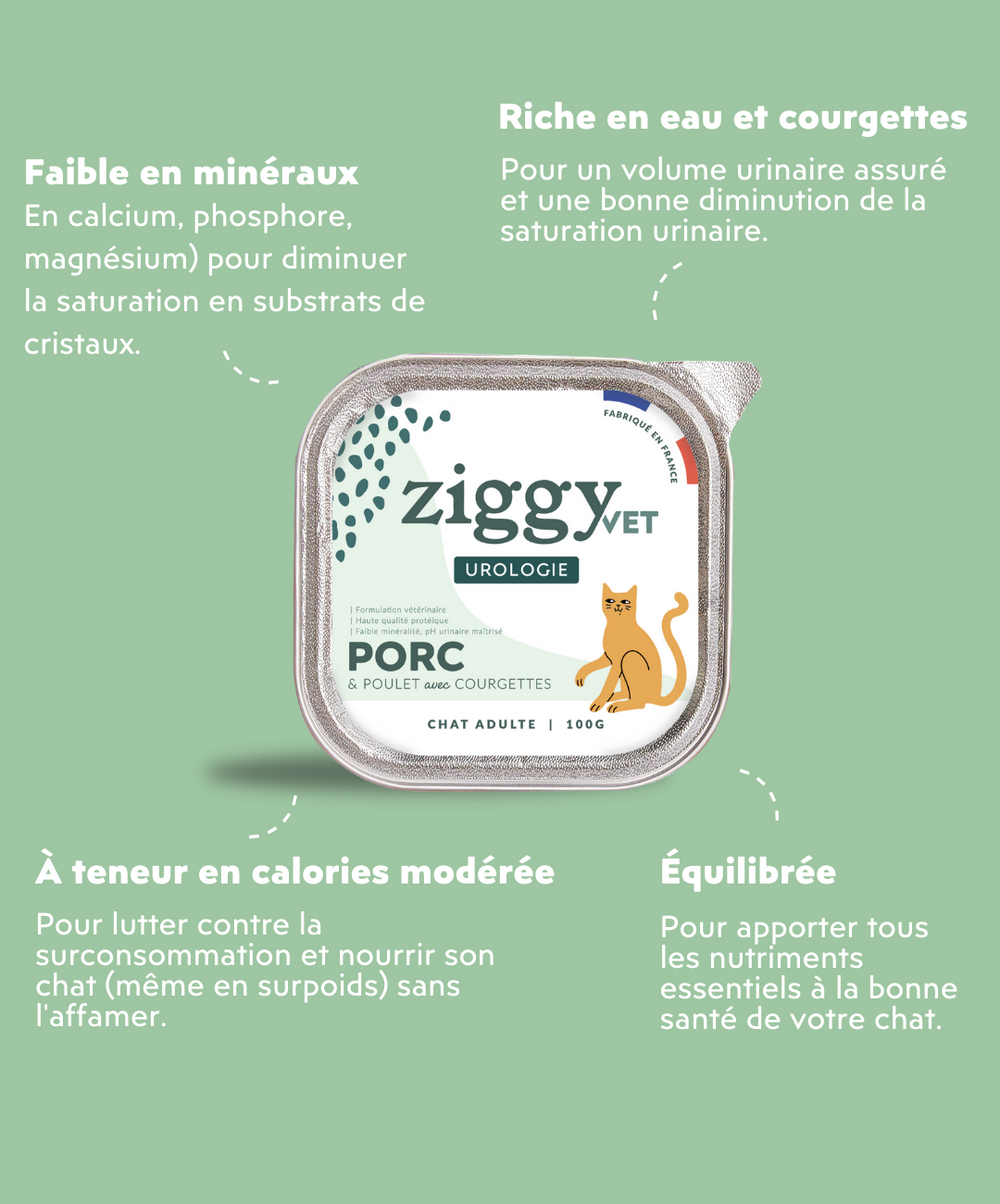 Les spécificités de la pâtée Ziggy pour les chats souffrant de problèmes urinaires - Harnprobleme bei Katzen: Ursachen und vorbeugende Maßnahmen