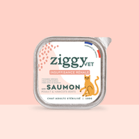 Barquette de pâtée pour chat en insuffisance rénale Chronique (IRC) au saumon de la marque Ziggy