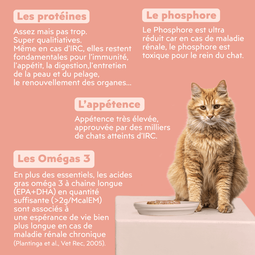 Composition de la pâtée pour chat en insuffisance rénale Chronique (IRC) au saumon Ziggy