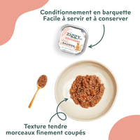 Conditionnement et texture de la pâtée pour chat en insuffisance rénale Chronique (IRC) au saumon Ziggy