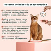 Recommandations de consommation de la pâtée pour chat en insuffisance rénale Chronique (IRC) au saumon Ziggy