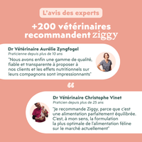 Témoignages vétérinaires de la pâtée pour chat en insuffisance rénale Chronique (IRC) au saumon Ziggy