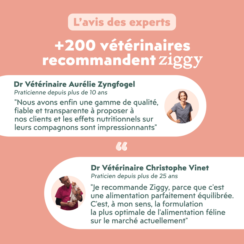 Témoignages vétérinaires de la pâtée pour chat en insuffisance rénale Chronique (IRC) au saumon Ziggy