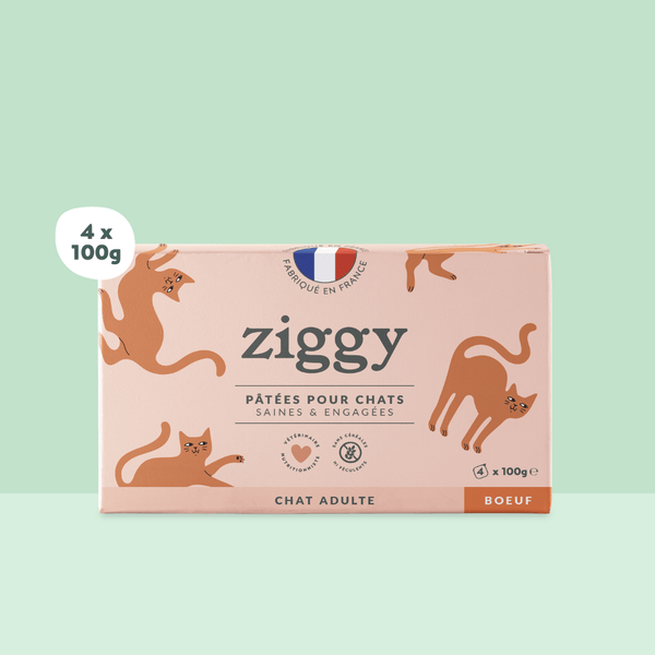 Barquette de 100g de pâtées Ziggy pour chat adulte au boeuf, saines et sans céréales