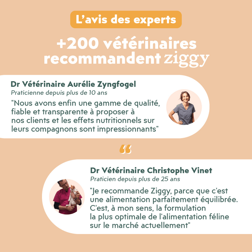 L'avis vétérinaire sur la pâtée pour chat adulte stérilisé Ziggy saine et sans céréales