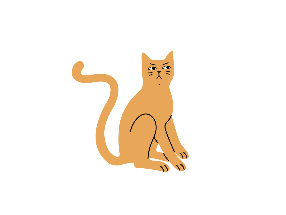 Illustration Ziggy d'un chat pas content