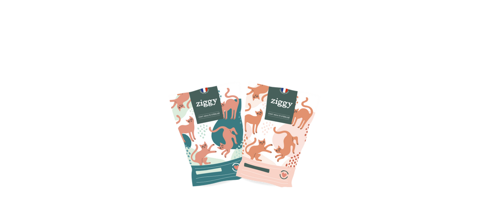 Illustration des croquettes pour chats Ziggy