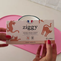 Ouverture des pâtées pour chat adulte Ziggy