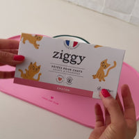 Ouverture des pâtées pour chaton Ziggy