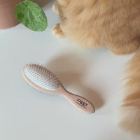 Vidéo présentation de la brosse pour chats Ziggy