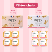 8 pâtées chaton Ziggy