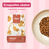 1 kg de croquettes chaton