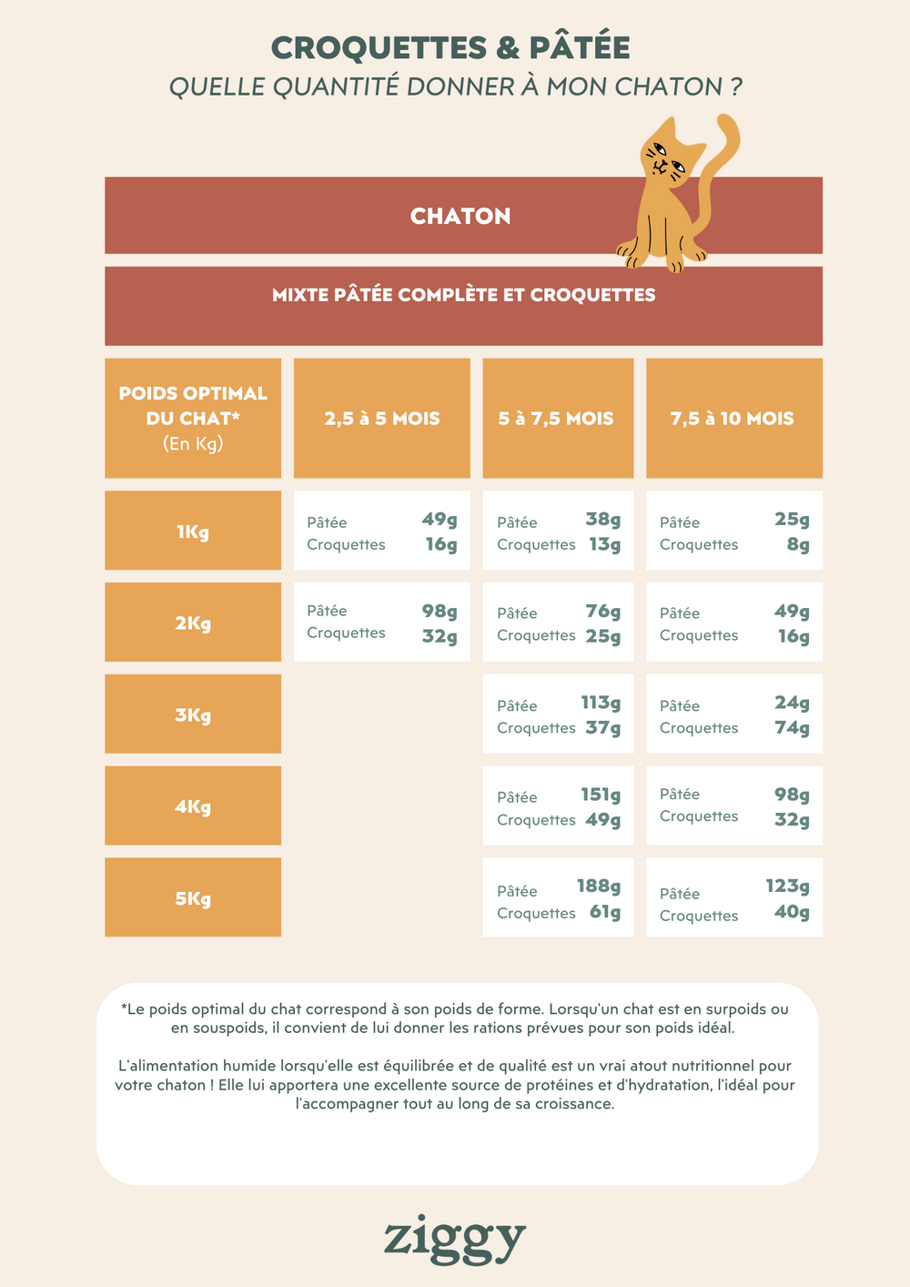 Tableau des quantités de croquettes et pâtées à donner à son chaton - What’s the best diet for my kitten (aged 2 to 12 months)?