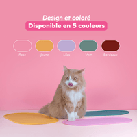 Chat roux qui se lèche les babines devant les tapis de gamelle et les gamelles pour chat Ziggy