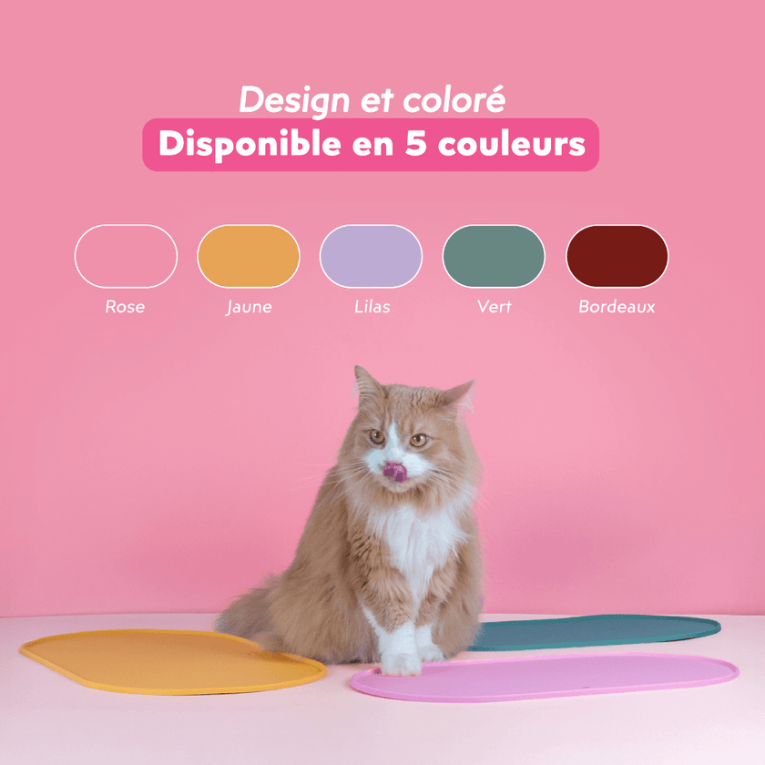Chat roux qui se lèche les babines devant les tapis de gamelle et les gamelles pour chat Ziggy