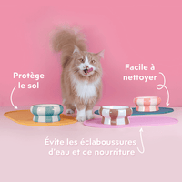 Main qui tient le tapis de gamelle pour chat Ziggy