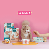 Chat adulte stérilisé roux qui mange de la pâtée pour chat adulte stérilisé Ziggy à côté de la gamelle et du tapis de gamelle pour chat Ziggy