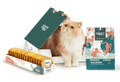 Chat adulte stérilisé dans un carton Ziggy à côté des croquettes et pâtées saines et sans céréales