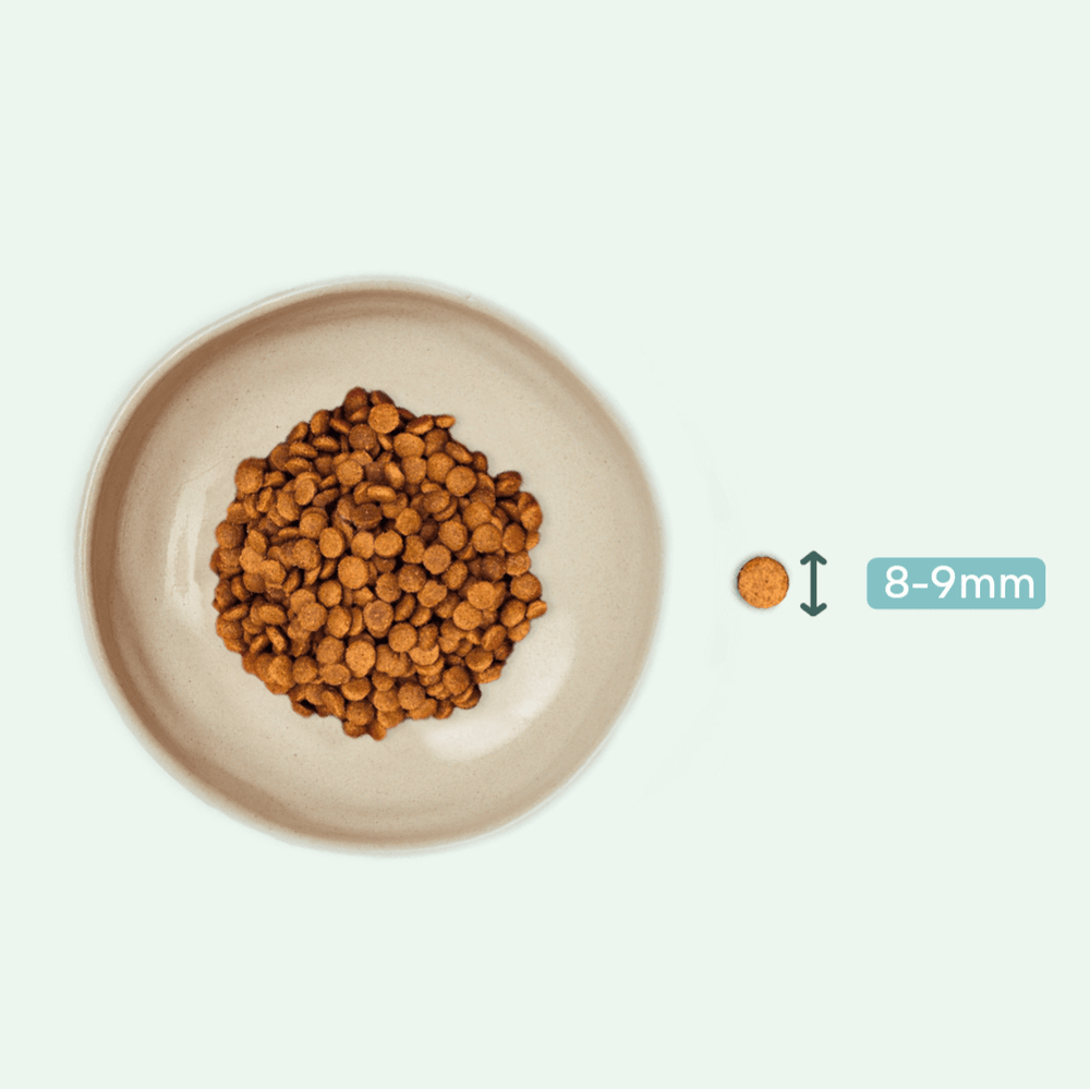 Taille des croquettes pour chat sans céréales Ziggy