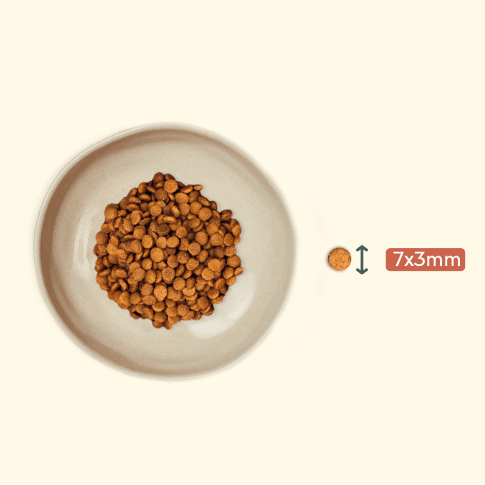 Taille des croquettes pour chaton Ziggy