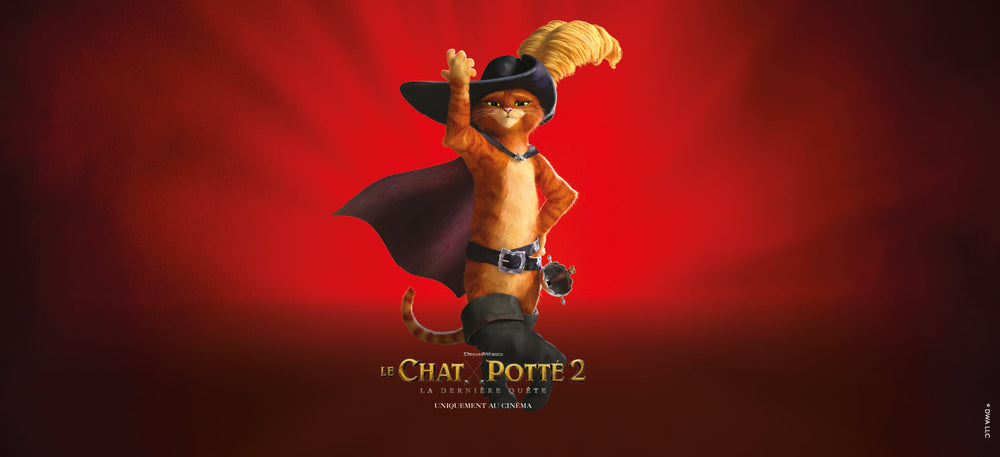 Top 10 des choses à savoir sur le Chat Potté