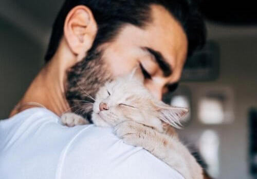 cat dad