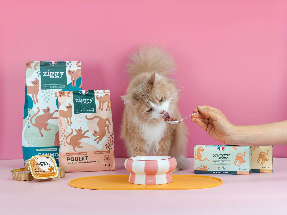 Tous les produits
