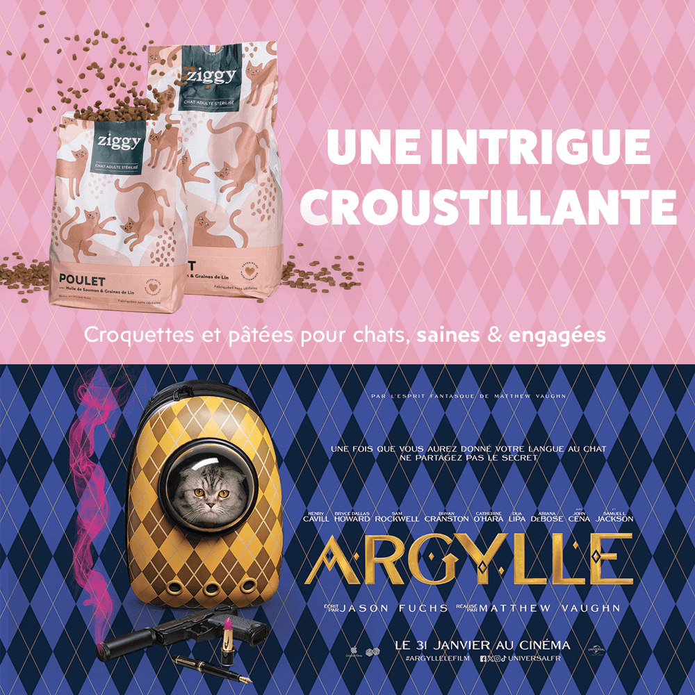 Affiche du film Argylle, en partenariat avec les croquettes pour chat Ziggy