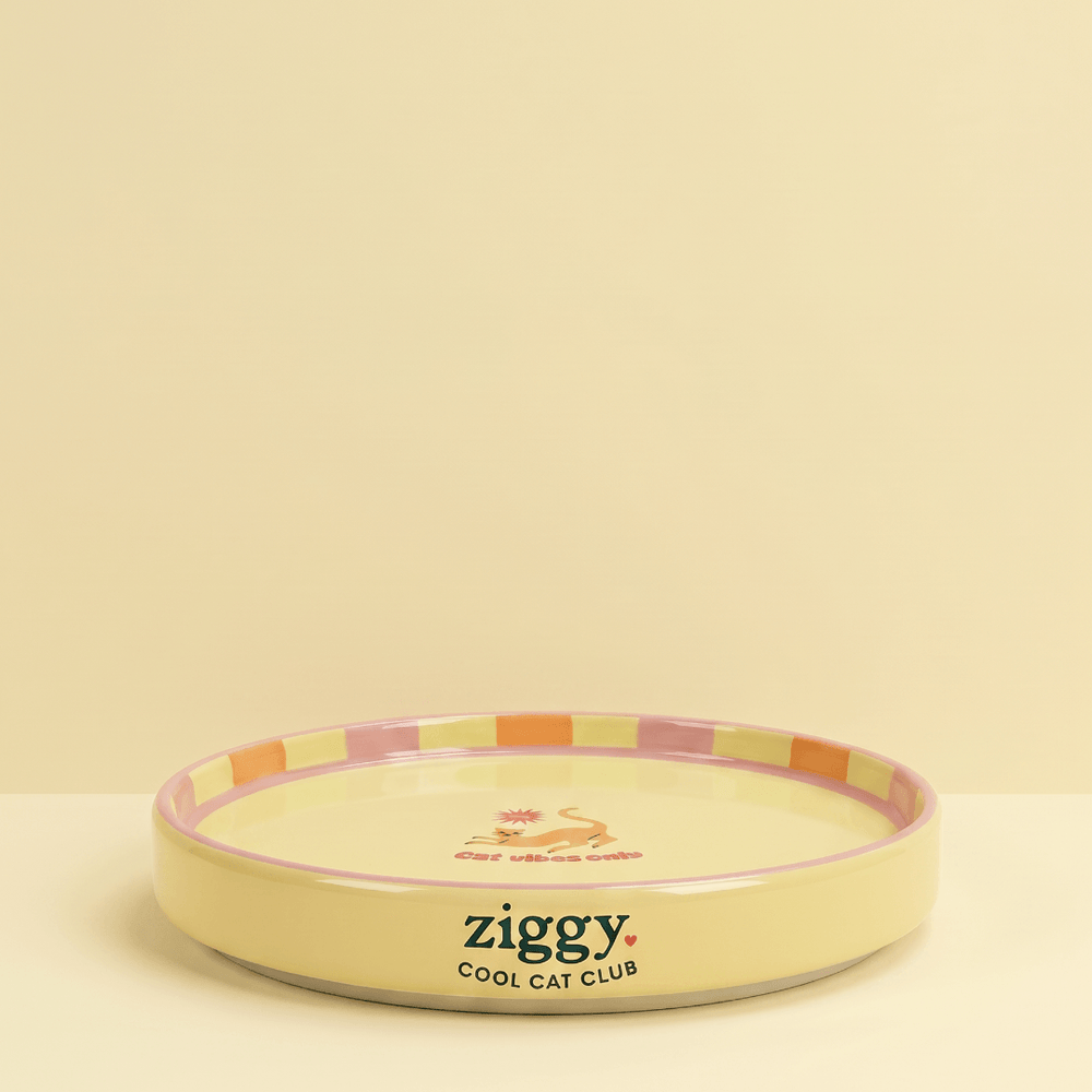 Assiette pour chat Ziggy de la gamme Cat Vibes Only