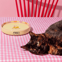 Assiette pour chat Ziggy de la gamme Cat Vibes Only