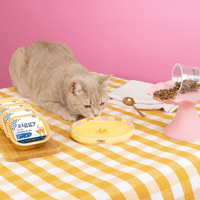 Assiette pour chat Ziggy de la gamme Cat Vibes Only