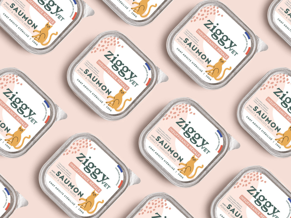Barquettes de pâtées pour chats IRC au saumon Ziggy