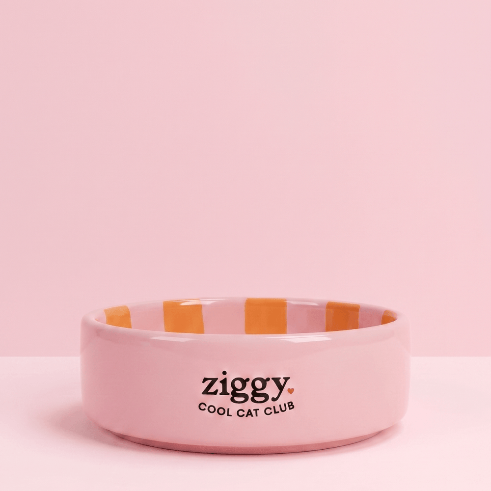 Bol pour chat Ziggy de la gamme Cat Vibes Only