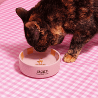 Bol pour chat Ziggy de la gamme Cat Vibes Only