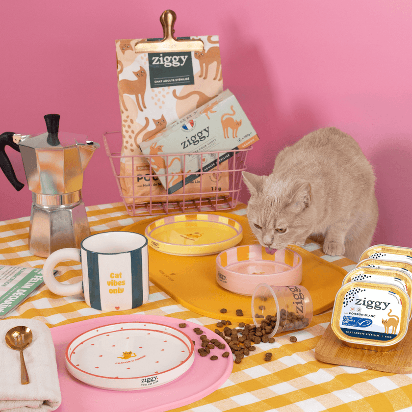 Bol pour chat Ziggy de la gamme Cat Vibes Only
