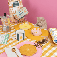 Bol pour chat Ziggy de la gamme Cat Vibes Only