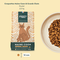 Coffret Maine Coons & Grands Chats - 2,5kg Croquettes + 9 x 300g Pâtées Poulet