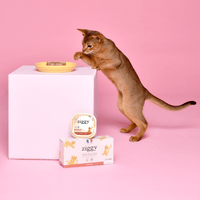 Coffret Découverte Chaton - 1kg Croquettes + 8 Pâtées