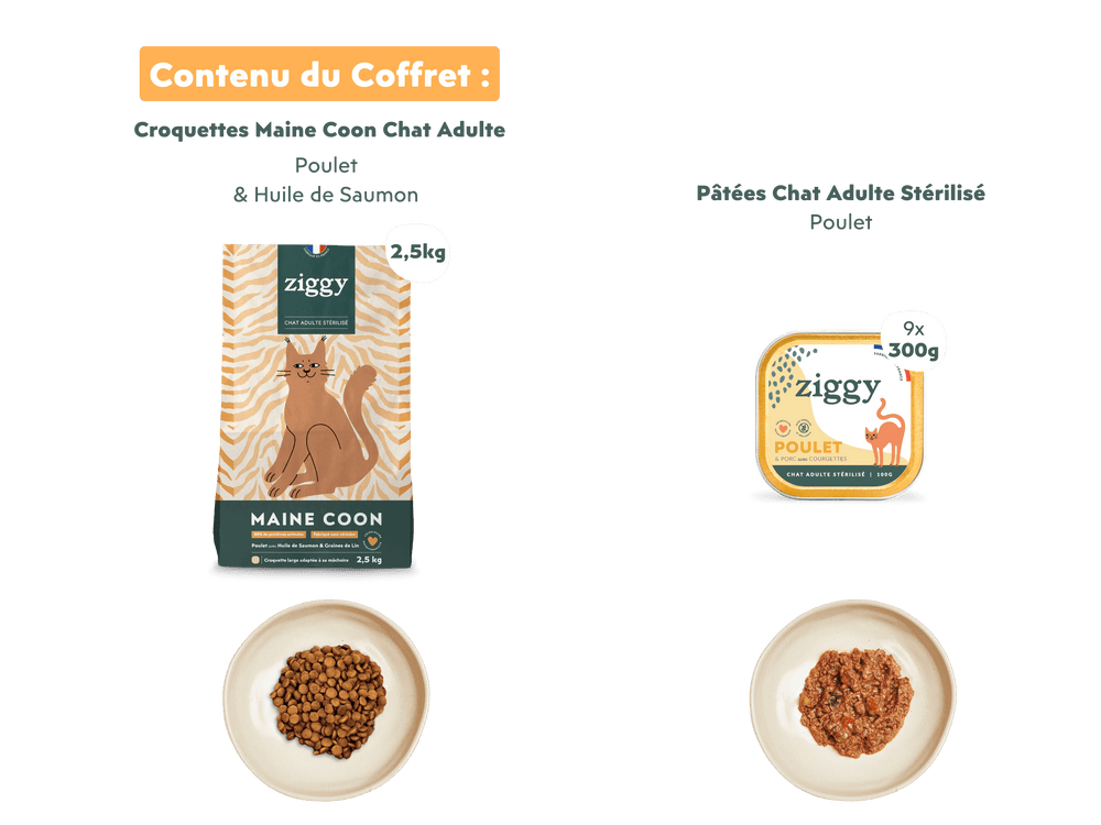 Composition du coffret découverte pour Maine Coon et grands chats de la marque Ziggy