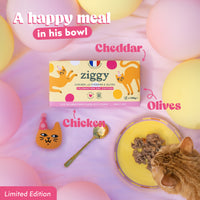 Ziggy Party Day Gift Box - limited edition with wet food, plush toy and accessories for cats