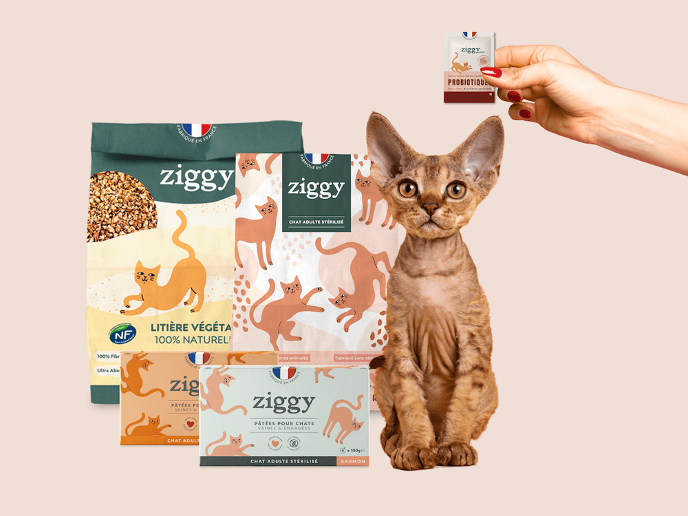 Contenu du Coffret digestion pour chat Ziggy - croquettes et pâtées pour chat adulte stérilisé, probiotiques pour chat et litière