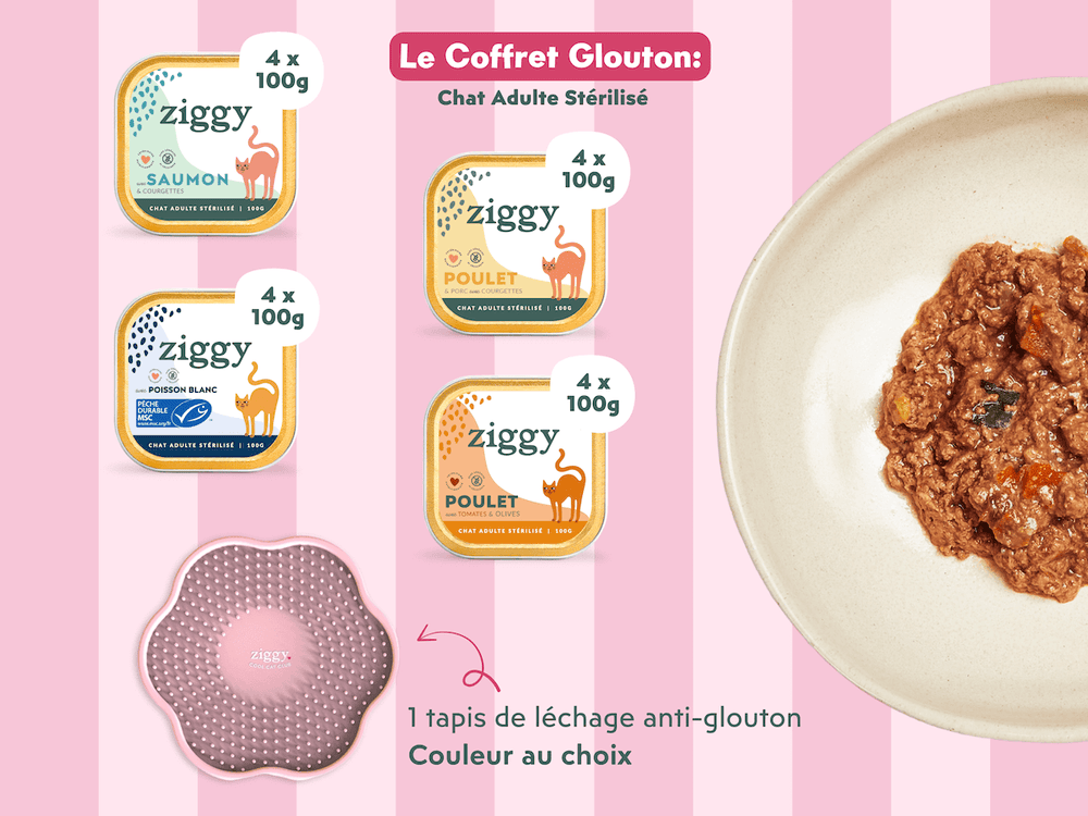 Contenu du coffret Chat Glouton pour chat adulte stérilisé de la marque Ziggy qui comprend pâtées pour chat adulte stérilisé et un tapis de léchage anti-glouton pour chat