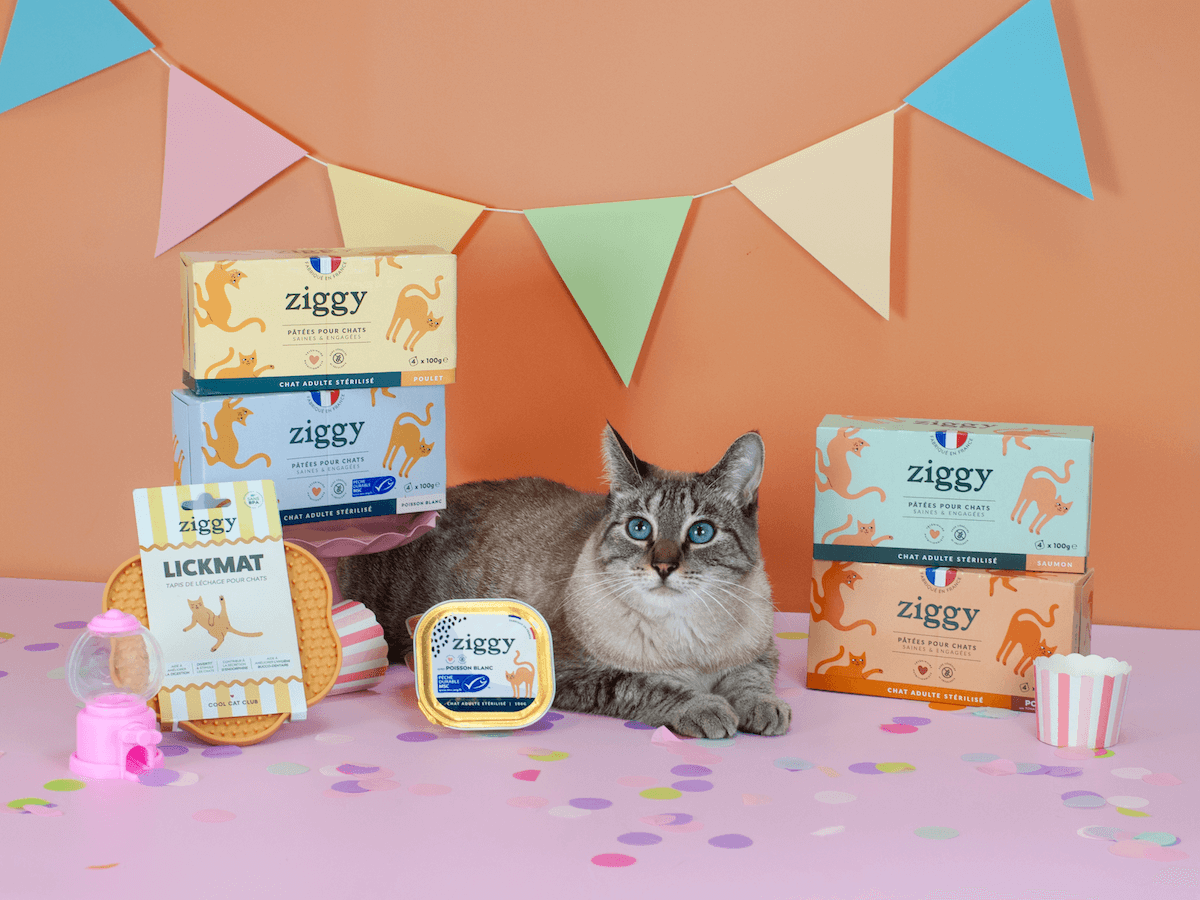 Contenu du coffret Chat Glouton pour chat adulte stérilisé de la marque Ziggy qui comprend pâtées pour chat adulte stérilisé et un tapis de léchage anti-glouton pour chat