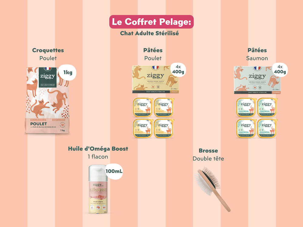 Contenu du coffret Pelage pour chat adulte stérilisé de la marque Ziggy qui comprend des croquettes et pâtées pour chat adulte stérilisé, une brosse pour chat et un flacon d'huile de poisson et d'algues pour chat