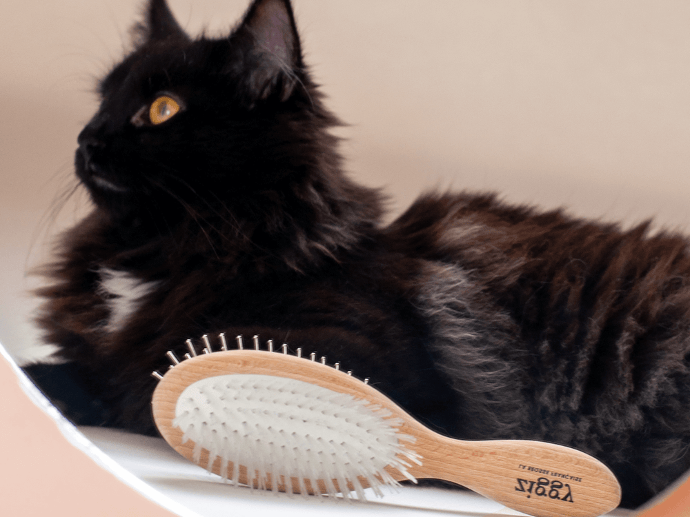 Contenu du coffret Pelage pour chat adulte stérilisé de la marque Ziggy qui comprend des croquettes et pâtées pour chat adulte stérilisé, une brosse pour chat et un flacon d'huile de poisson et d'algues pour chat