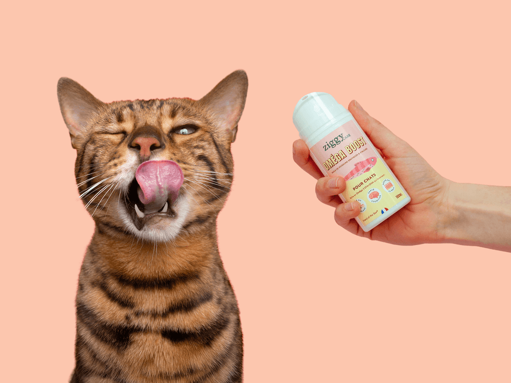 Contenu du coffret Pelage pour chat adulte stérilisé de la marque Ziggy qui comprend des croquettes et pâtées pour chat adulte stérilisé, une brosse pour chat et un flacon d'huile de poisson et d'algues pour chat