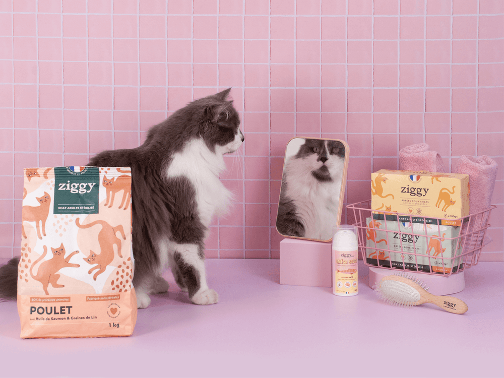 Coffret pelage pour chat adulte stérilisé