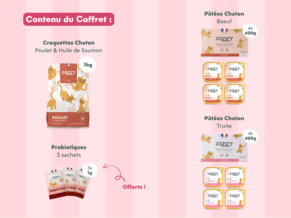 Composition du coffret découverte chaton
