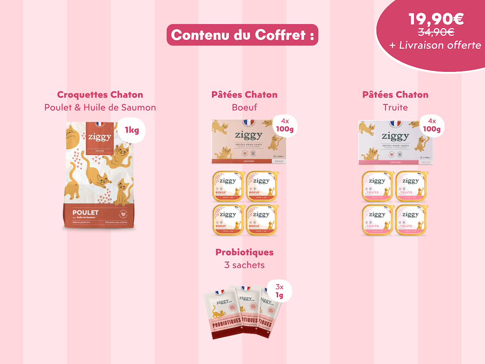 Composition du coffret chaton : 1kg de croquettes chaton, 8 pâtées pour chaton et 3 sachets de probiotiques 