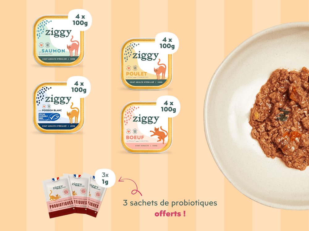 Composition du coffret découverte chat adulte stérilisé